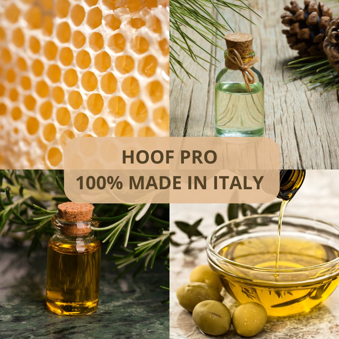 Hoof Pro | Grasso zoccoli