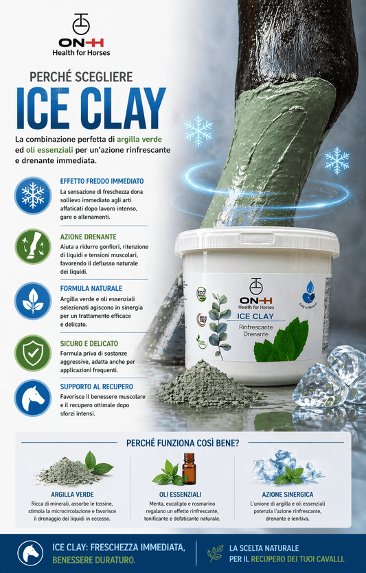 Ice Clay | Kühlende Tonerde mit Eis-Effekt