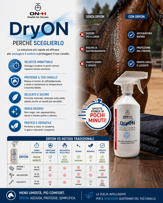 DryON | Turbo-Trockner für Pferde