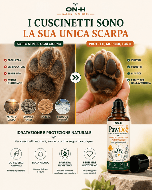 PawDog | Roll-On Lenitivo Naturale per Cuscinetti