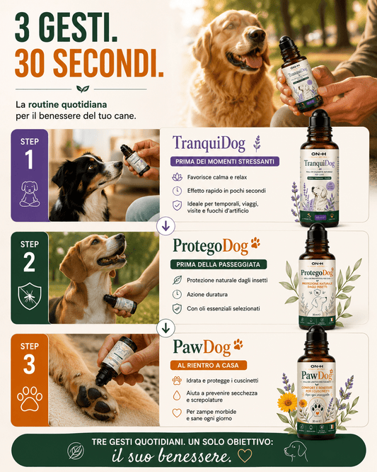 ON-H Dog Daily Routine | Tre gesti quotidiani. Un solo obiettivo: il suo benessere.