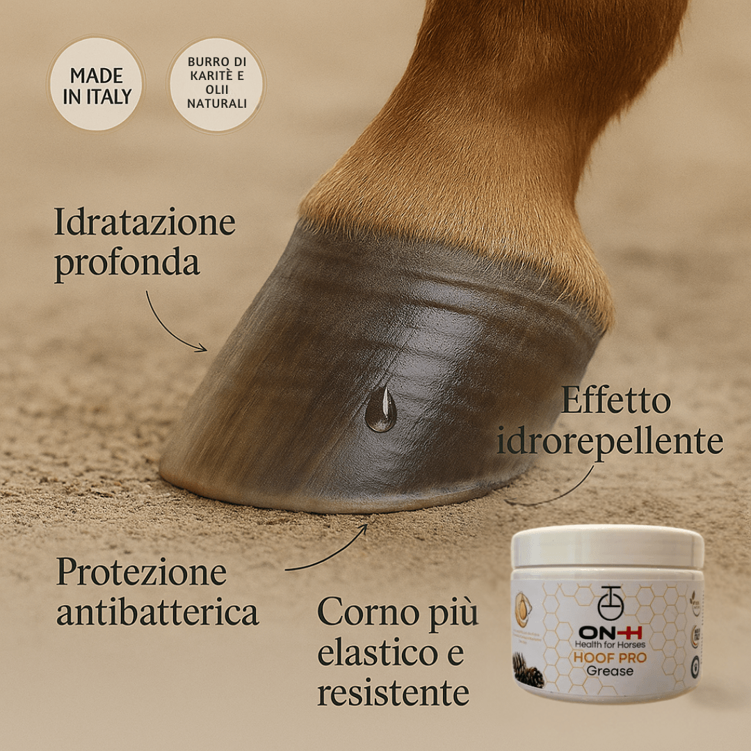 Hoof Pro | Grasso zoccoli