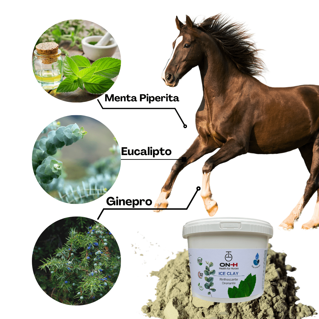 Ice Clay | Cretata rinfrescante