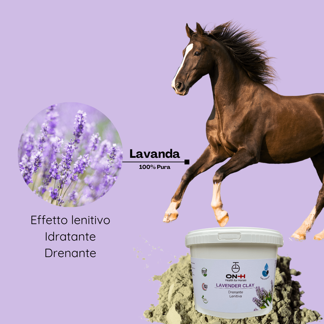 Lavender Clay | Detossinante e Rilassante