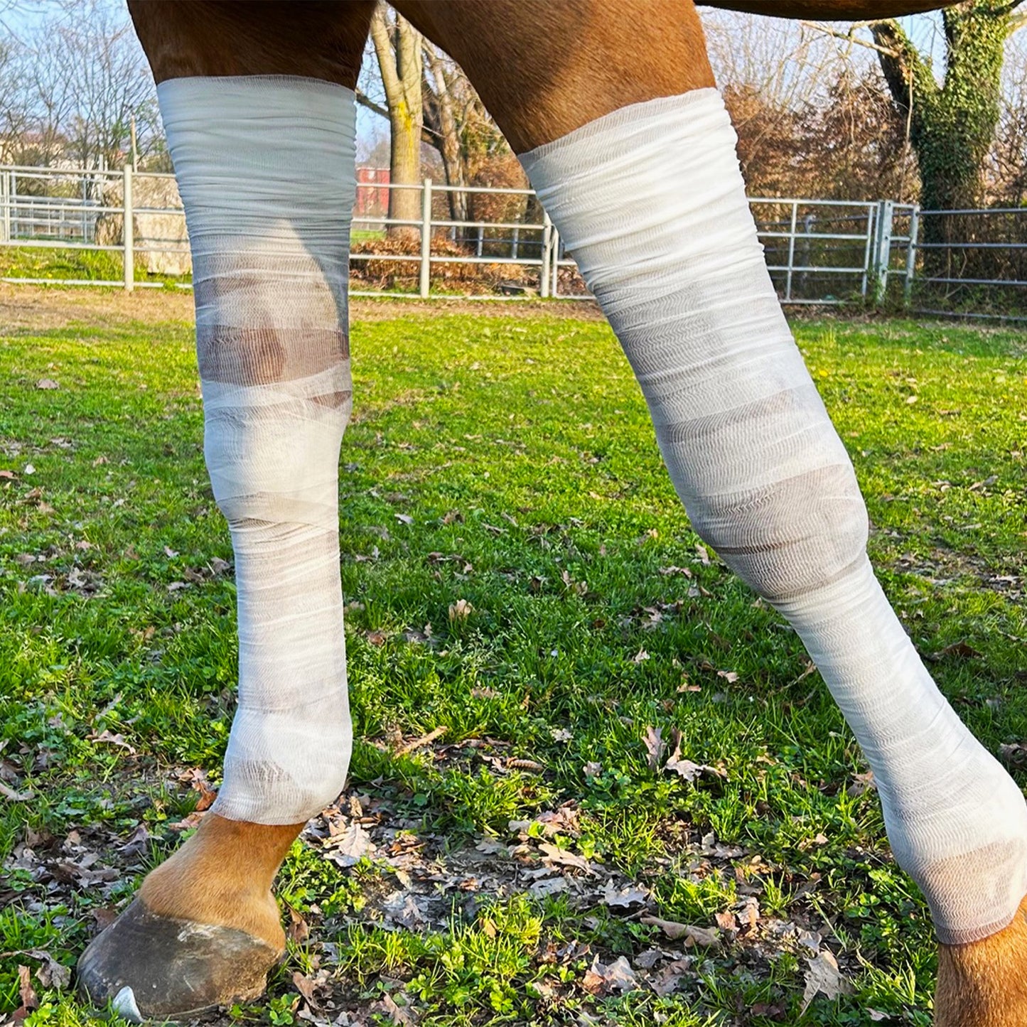 Drena Max Wraps | Draining and deficant