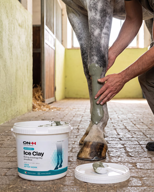 Ice Clay spread in a thick layer on a dapple grey horse's cannon