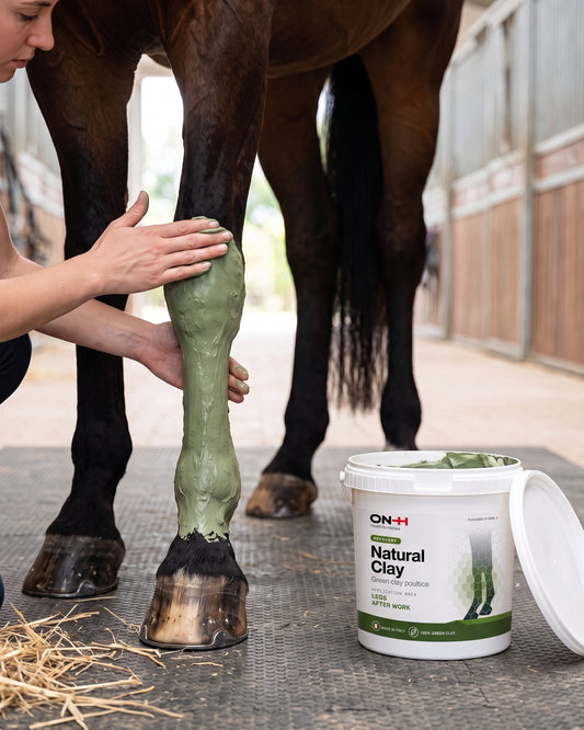 Natural Clay spread in a thick layer on a bay horse's leg