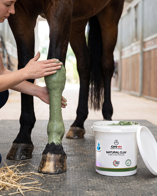Natural Clay stesa a strato spesso sull'arto di un cavallo baio
