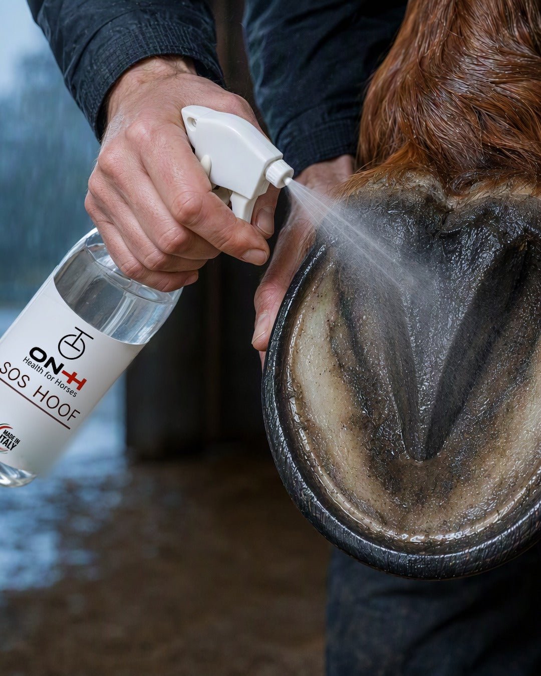 SOS Hoof spruzzato nel fettone e nei solchi dello zoccolo