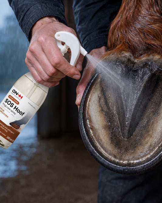 SOS Hoof pulvérisé dans la fourchette et les lacunes du sabot