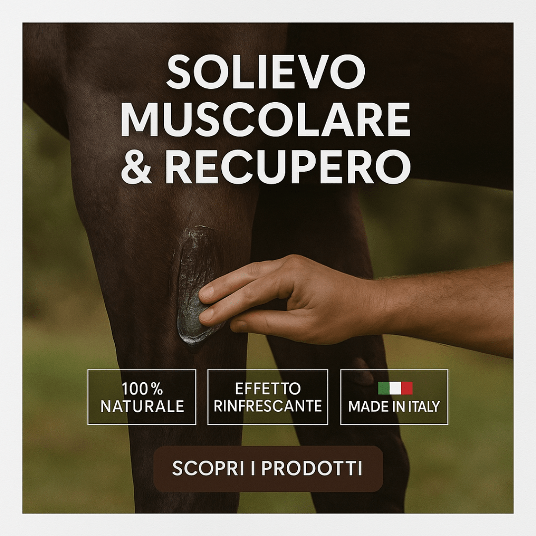 Sollievo Muscolare & Recupero
