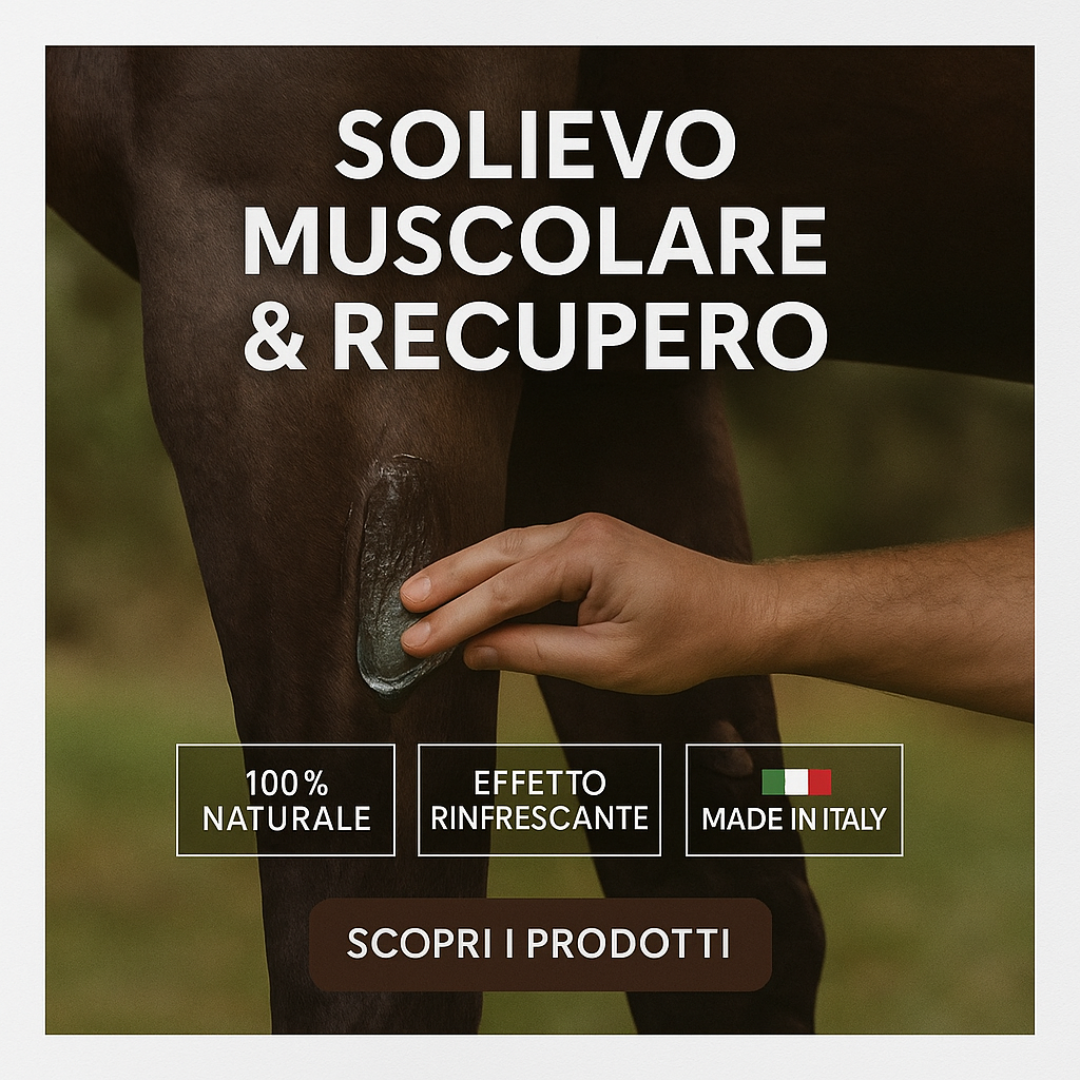 Sollievo Muscolare & Recupero
