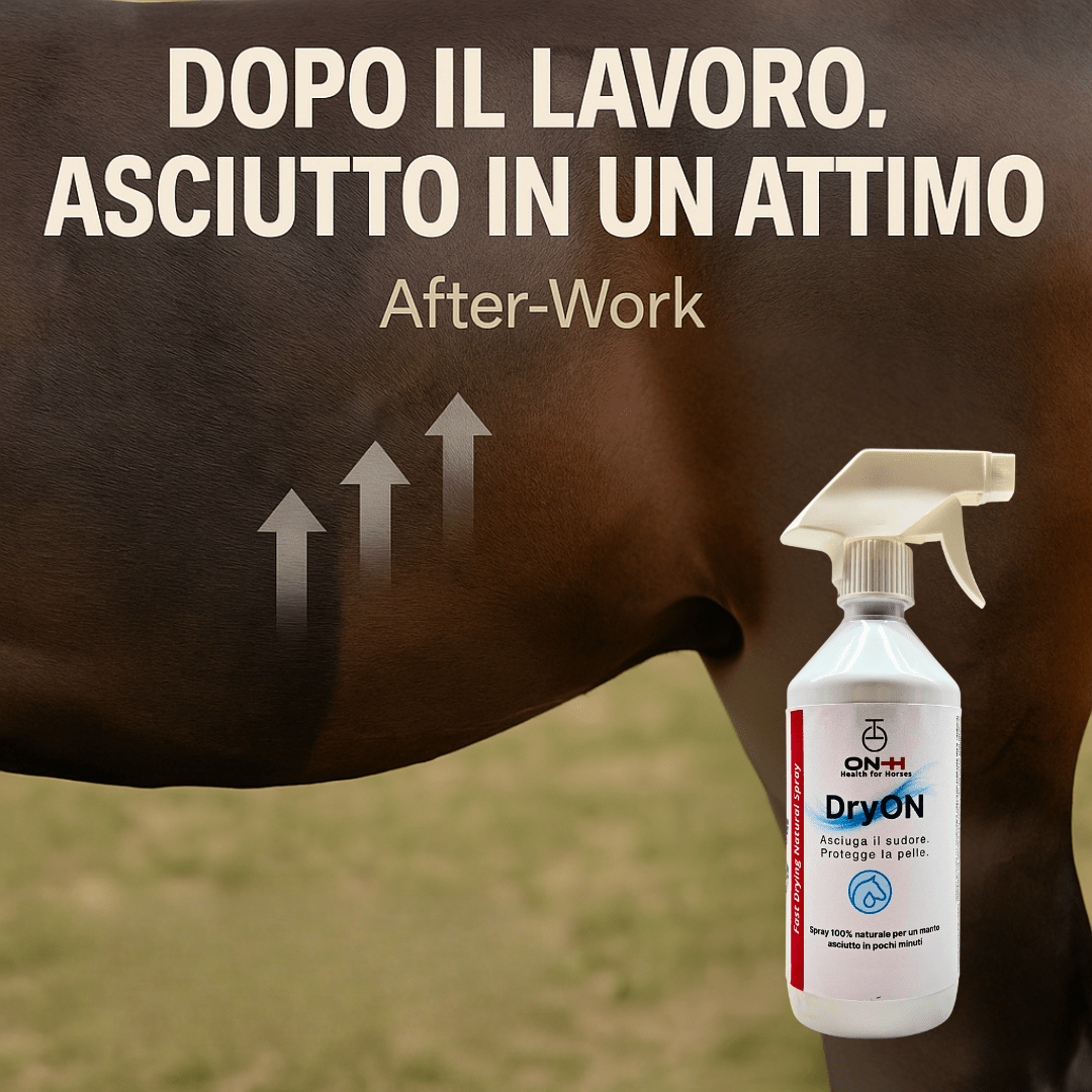 DryON | Trocknet Schweiß in wenigen Minuten