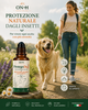 ProtegoDog | Roll-On Naturale per Cani – Protezione Naturale dagli Insetti