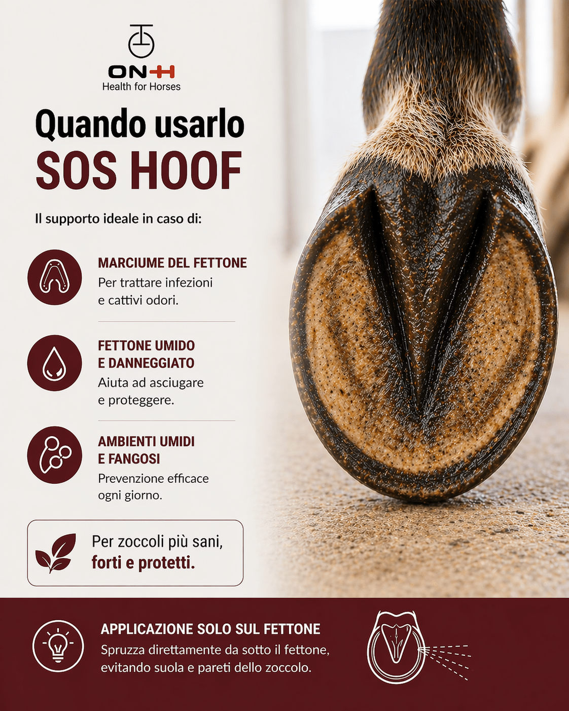 SOS Hoof | Igienizzante & Anti-marcimento