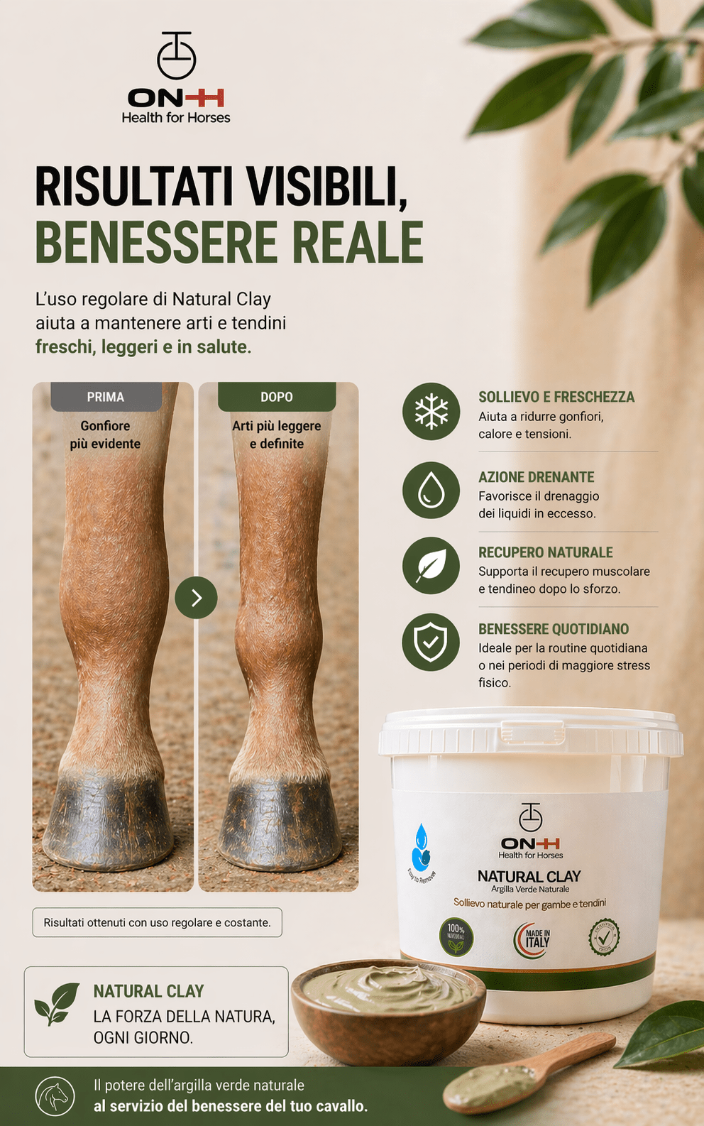 Natural Clay | Green Clay
