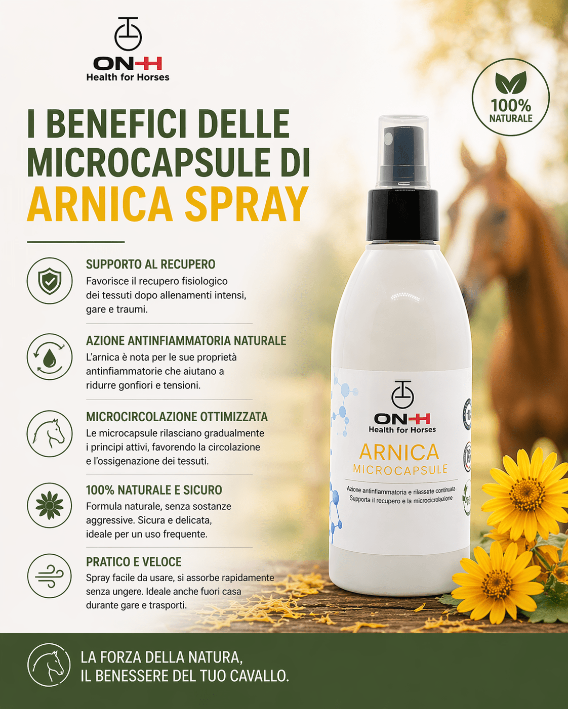Arnica Microcapsule Spray