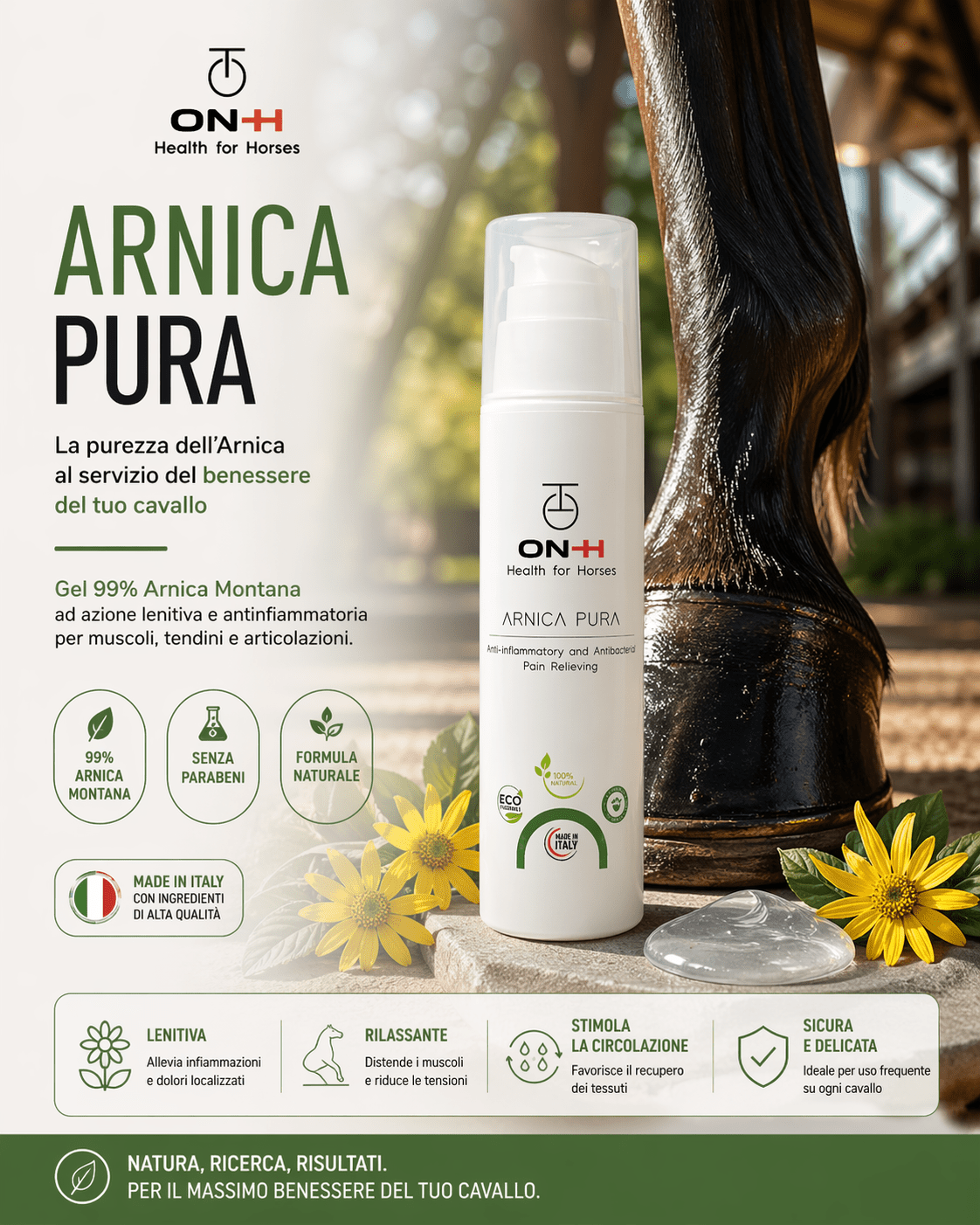 Arnica Pura | Antinfiammatorio