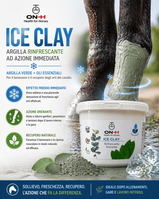 Ice Clay | Kühlende Tonerde mit Eis-Effekt