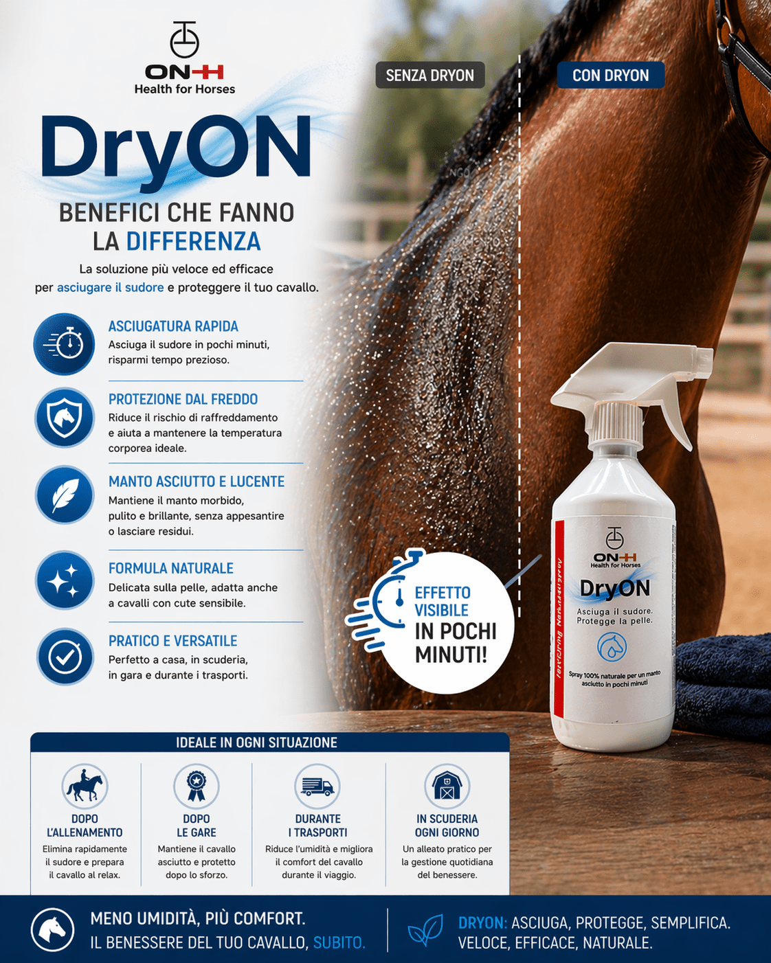 DryON | Turbo-Trockner für Pferde