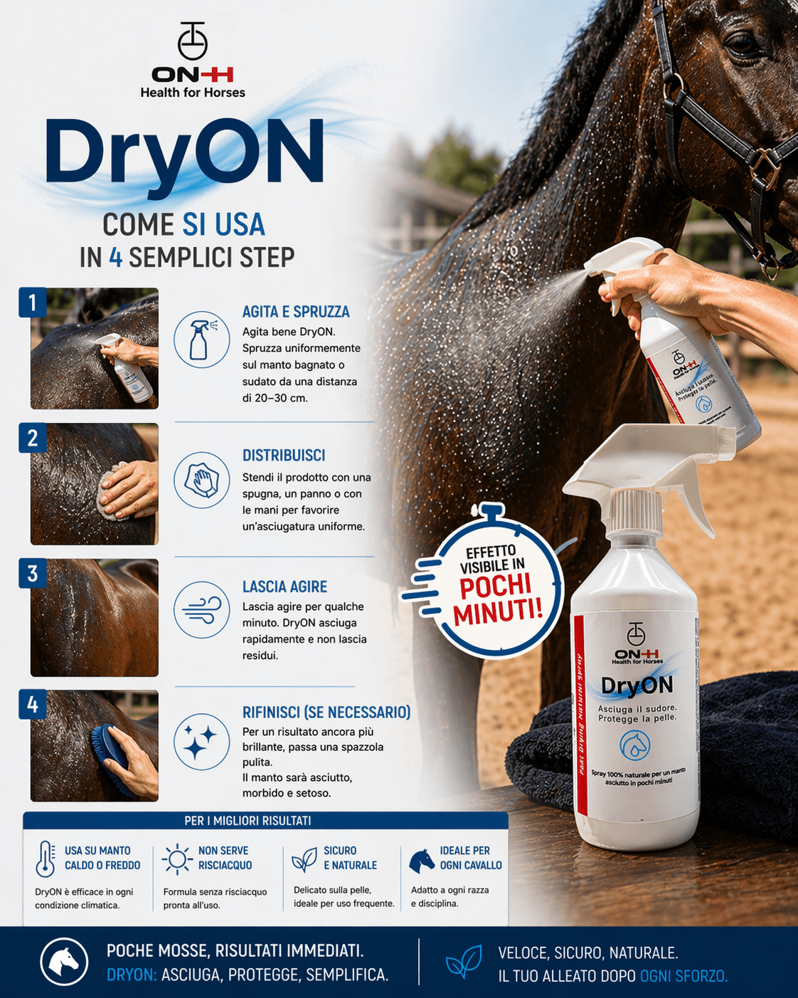 DryON | Turbo-Trockner für Pferde