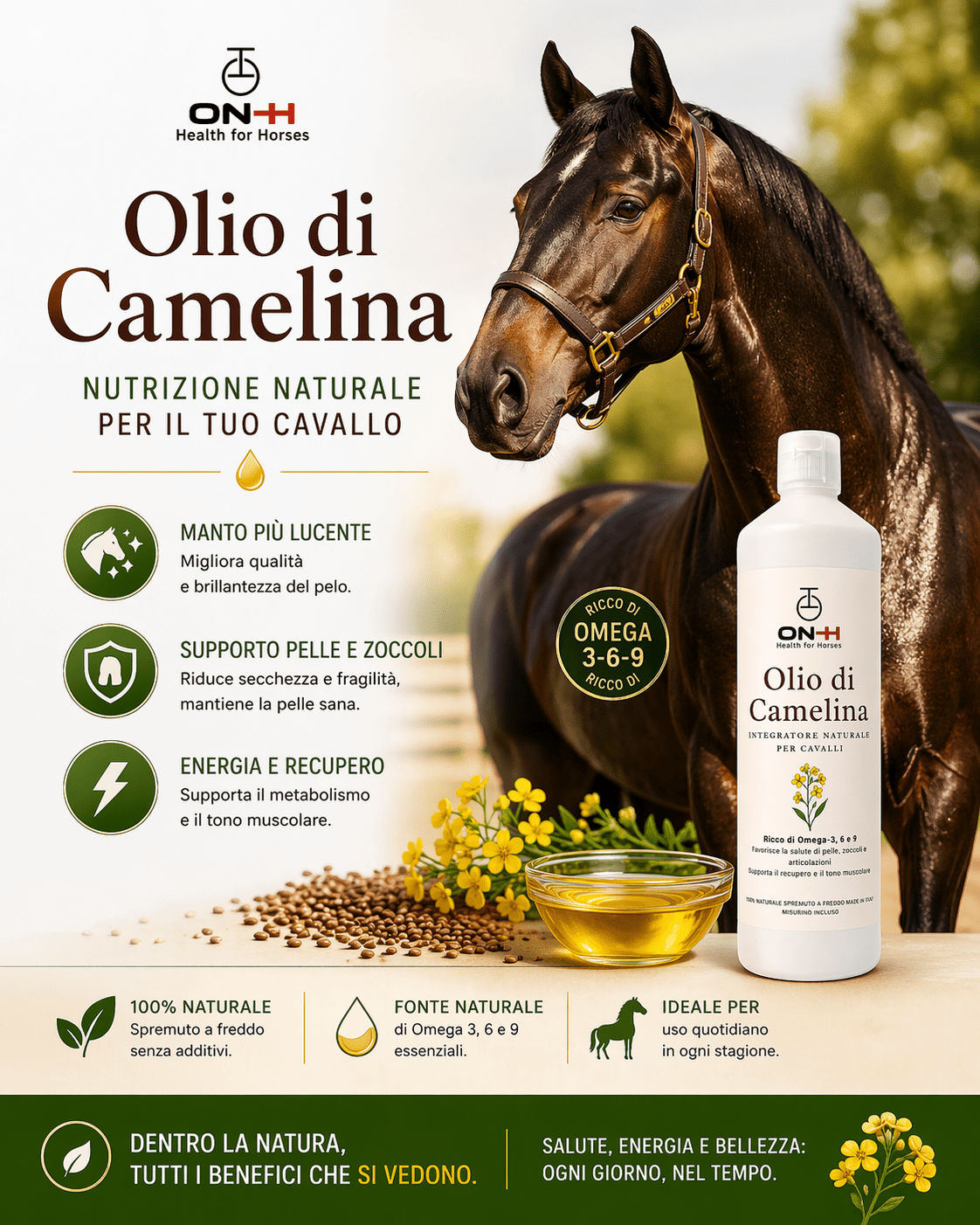 Olio di Camelina | Omega 3