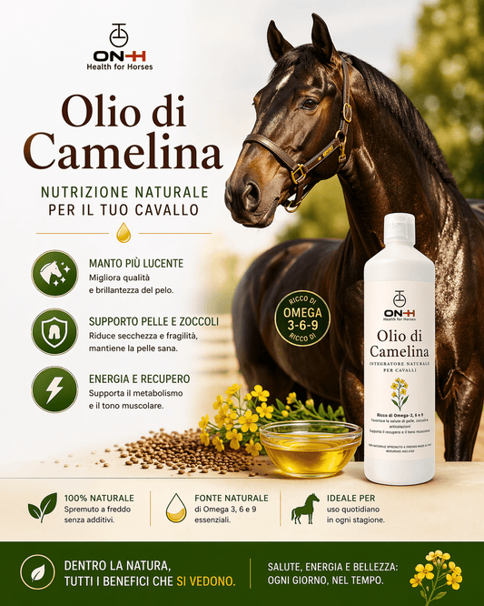 Kamelinaöl | Omega 3