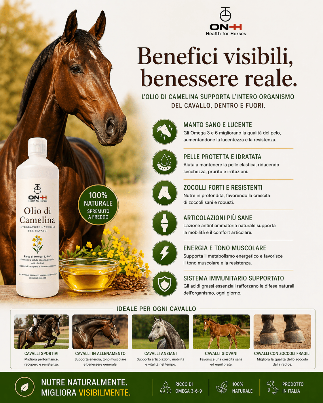 Olio di Camelina | Omega 3