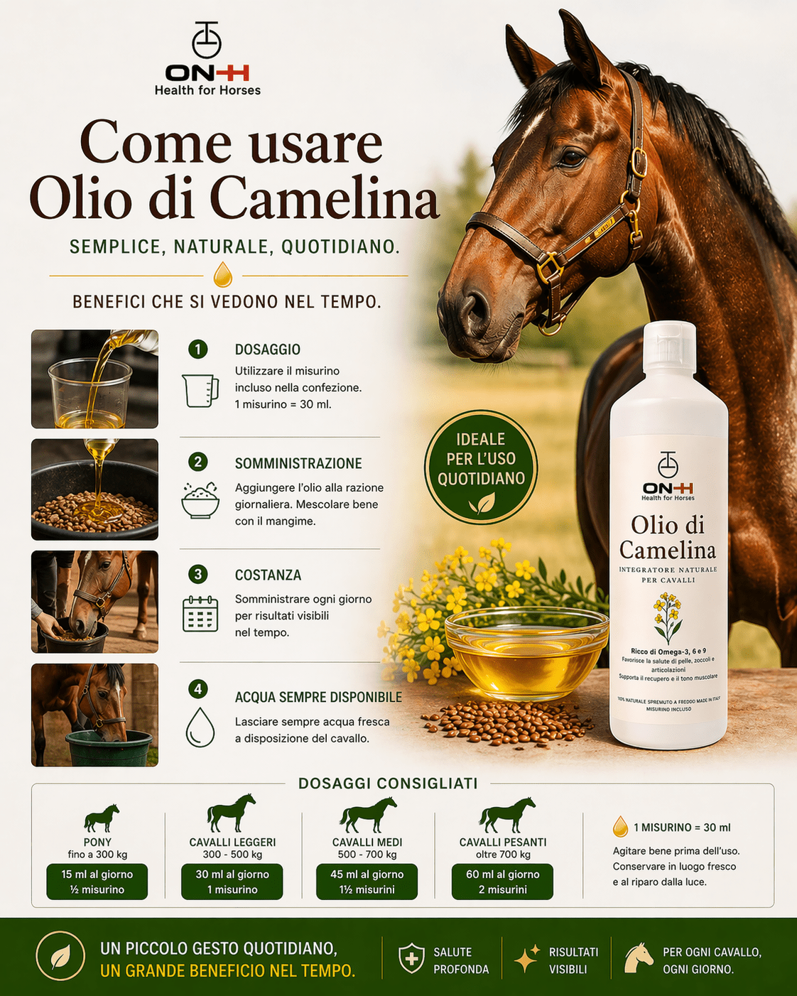 Olio di Camelina | Omega 3