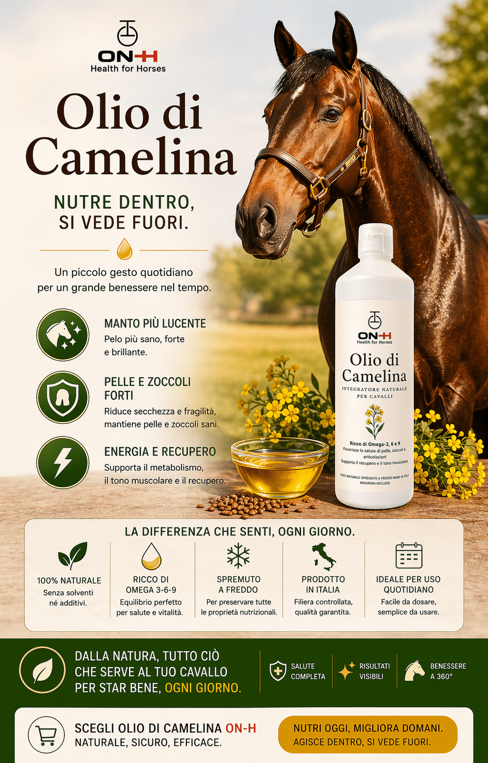 Olio di Camelina | Omega 3