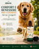 PawDog | Roll-On Lenitivo Naturale per Cuscinetti