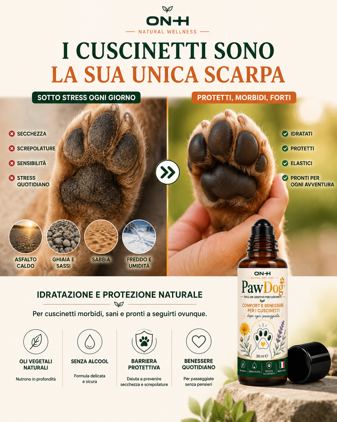 PawDog | Roll-On Lenitivo Naturale per Cuscinetti