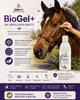 BioGel+ | Präziser Insektenschutz