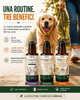 ON-H Dog Daily Routine | Tre gesti quotidiani. Un solo obiettivo: il suo benessere.