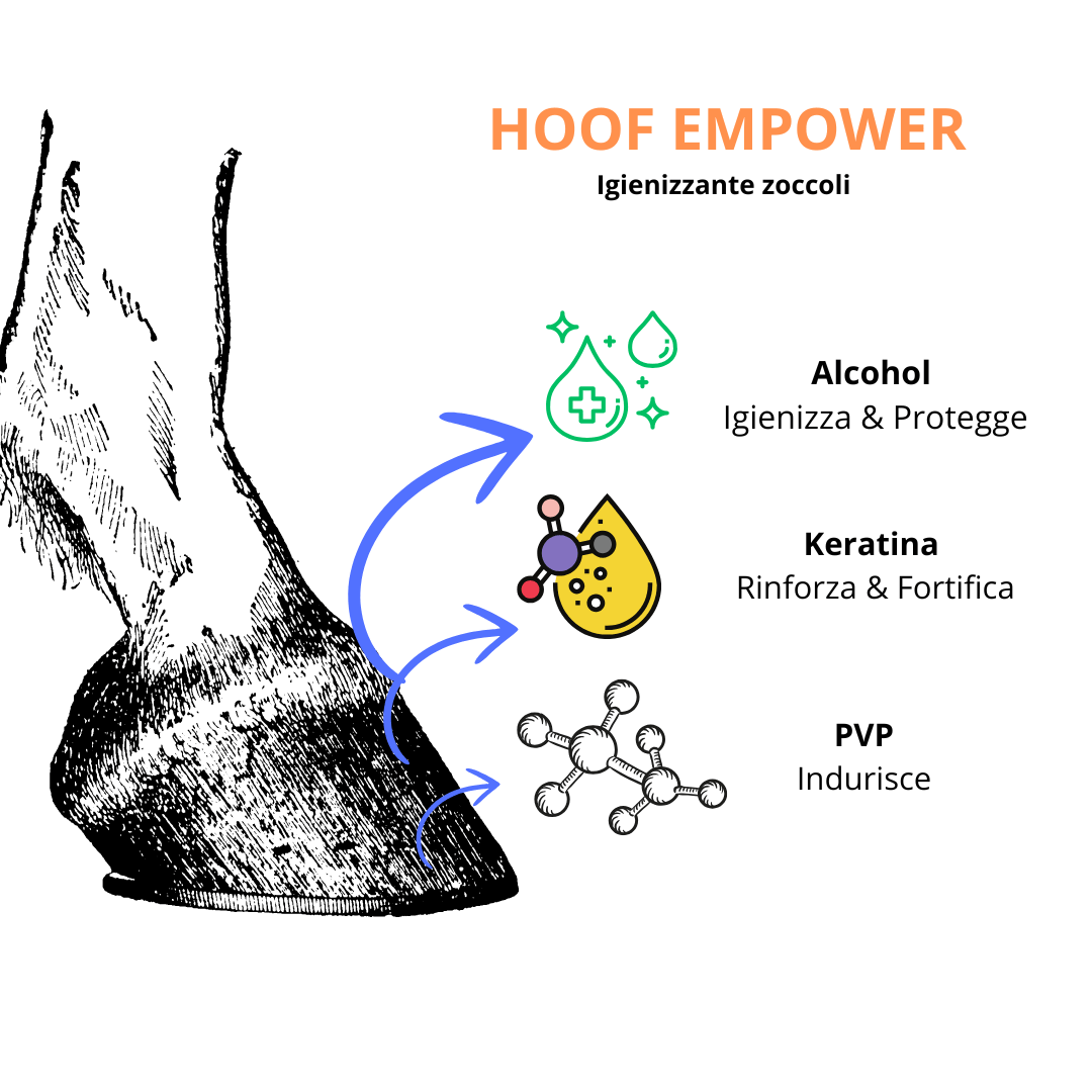 Hoof Empower | Igienizzante & Rinforzante zoccoli