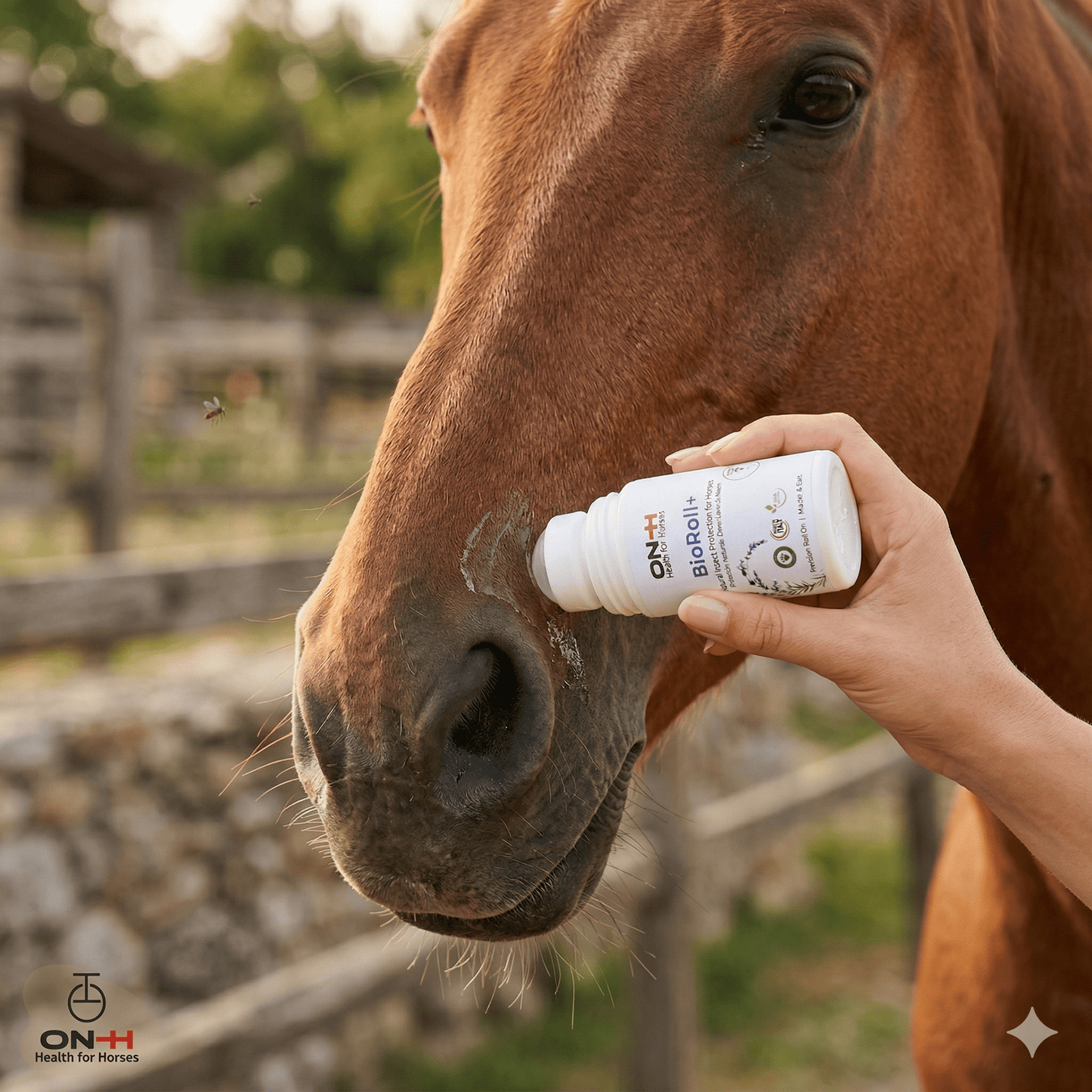 BioRoll+ | Repellente insetti roll-on per muso e orecchie