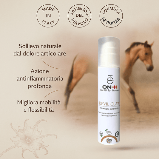 Devils Claw | Artiglio del Diavolo