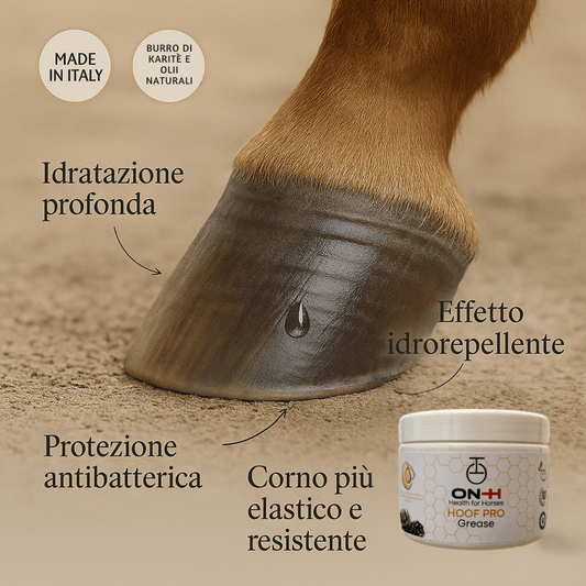Hoof Pro | Grasso zoccoli