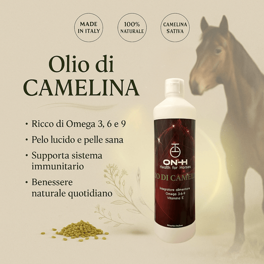 Olio di Camelina | Omega 3