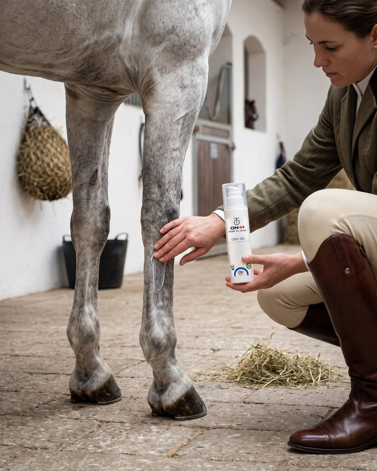Crio Gel steso a mano sui tendini sotto il ginocchio di un cavallo grigio