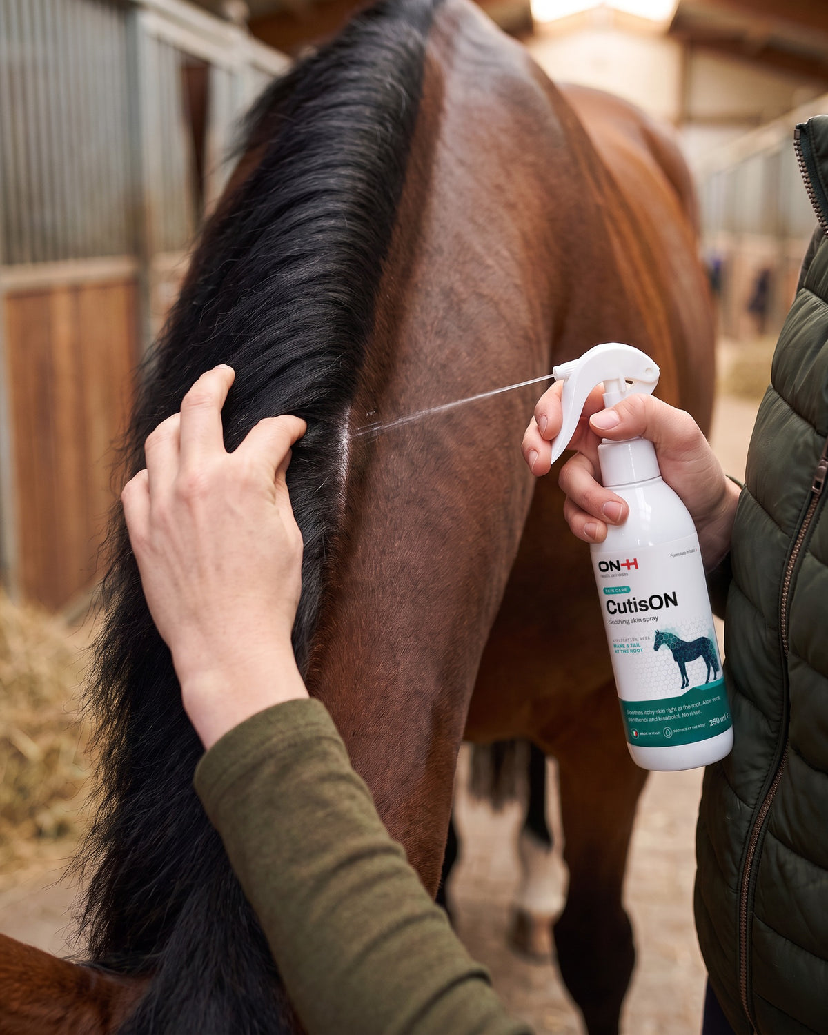 Une main soulève la crinière et CutisON atteint la peau à la racine en mode jet