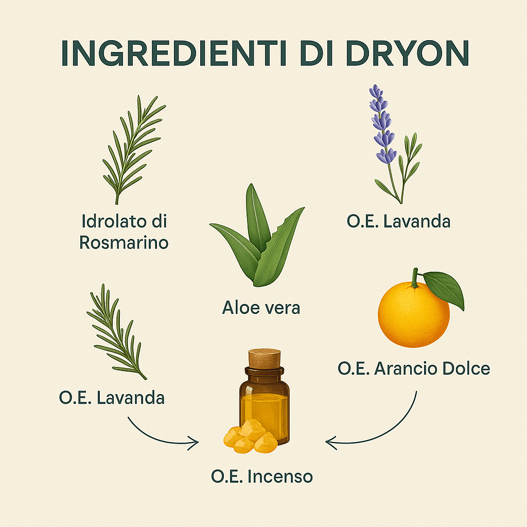 DryON | Trocknet Schweiß in wenigen Minuten