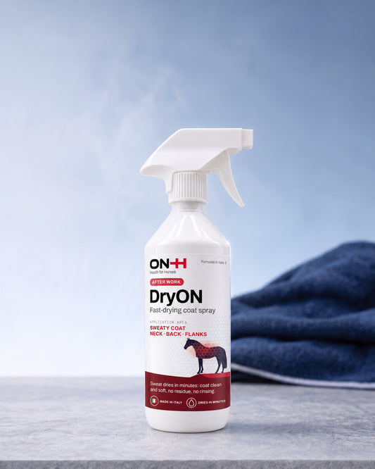 DryON, spray asciuga sudore per cavalli di ON-H