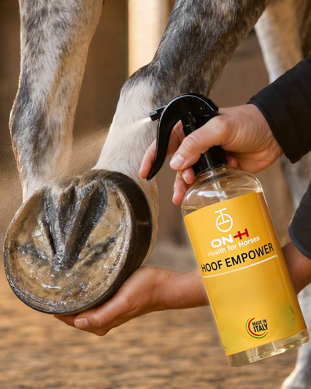 Hoof Empower spruzzato su suola e fettone di uno zoccolo pulito
