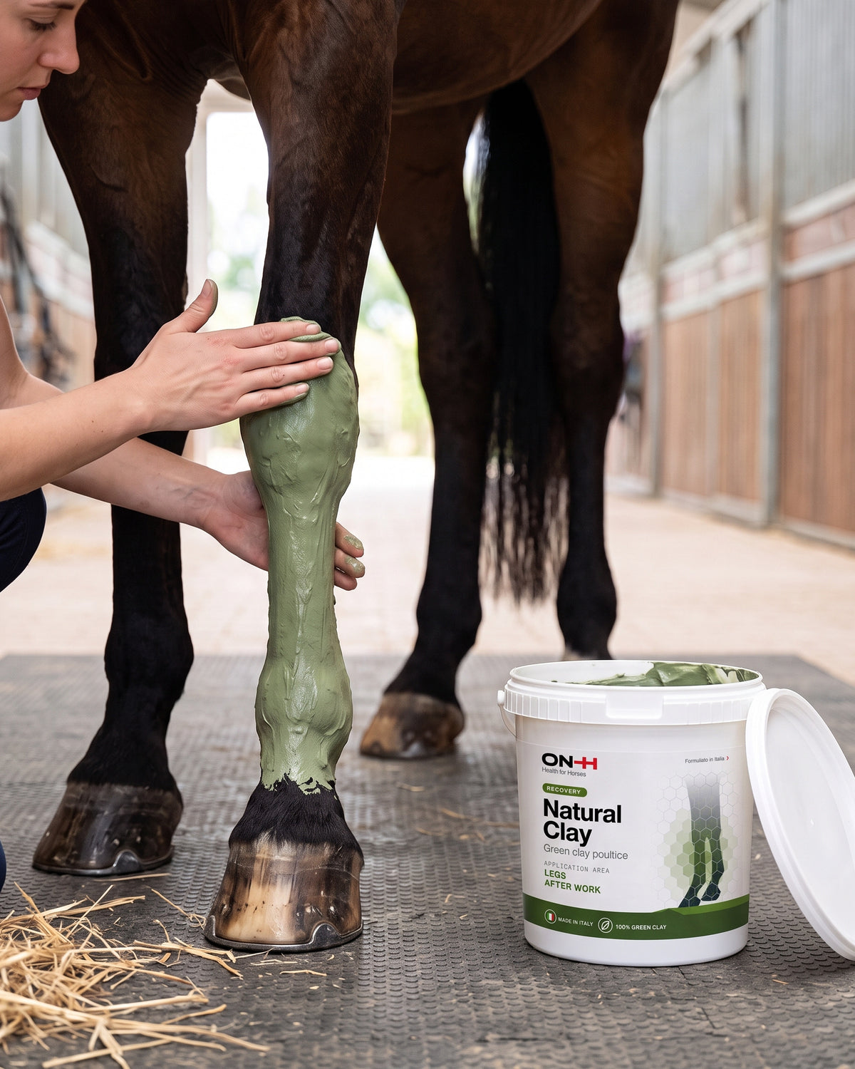 Natural Clay spread in a thick layer on a bay horse's leg