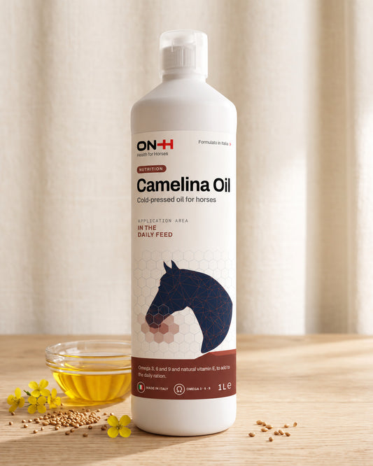 ON-H Camelina Oil, 1 litre bottle