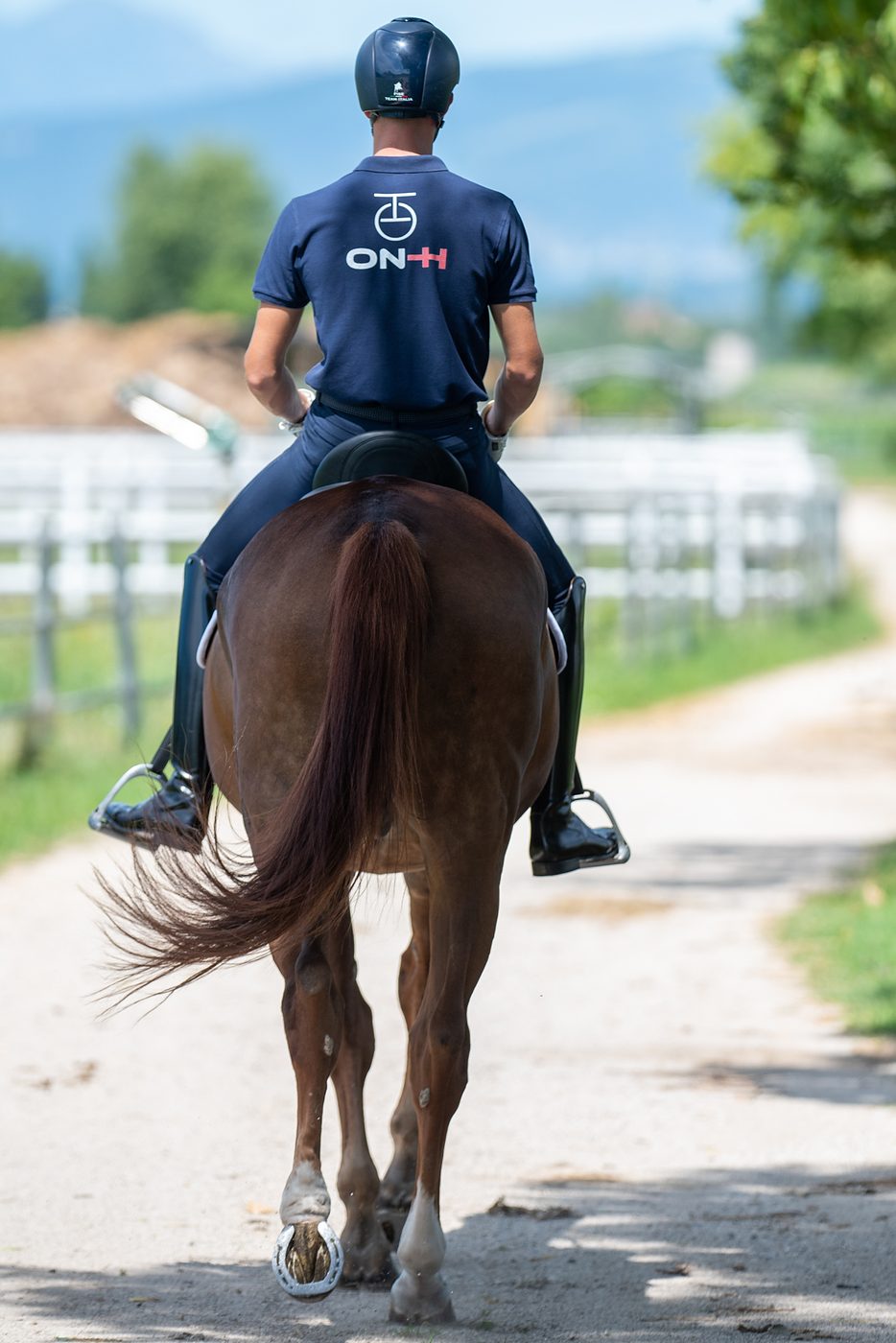 Cavaliere ON-H in passeggiata su un cavallo sauro